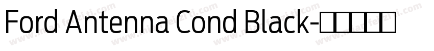 Ford Antenna Cond Black字体转换